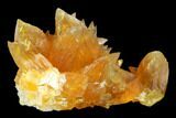 Amber-Yellow Calcite Crystal Cluster - Highly Fluorescent! #177295-2